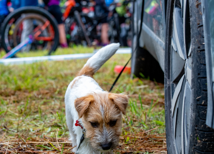 Vivus.lv MTB maratons | Opekalns, 3.posms173