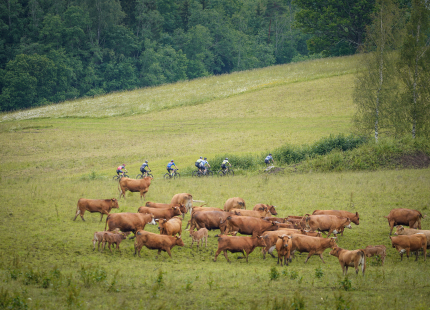 Vivus.lv MTB Maratons | Opekalns, 3.posms136