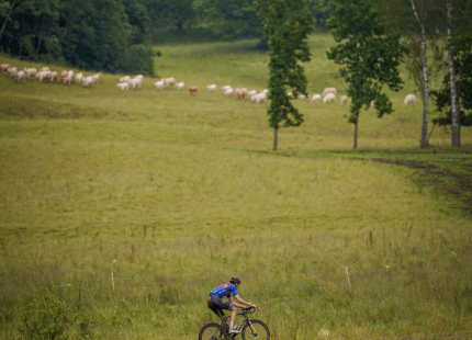 Vivus.lv MTB Maratons | Opekalns, 3.posms168