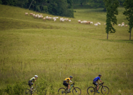Vivus.lv MTB Maratons | Opekalns, 3.posms169