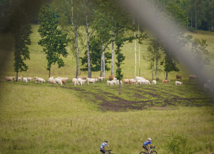 Vivus.lv MTB Maratons | Opekalns, 3.posms177