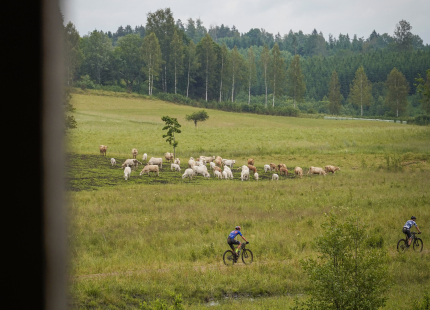 Vivus.lv MTB Maratons | Opekalns, 3.posms180