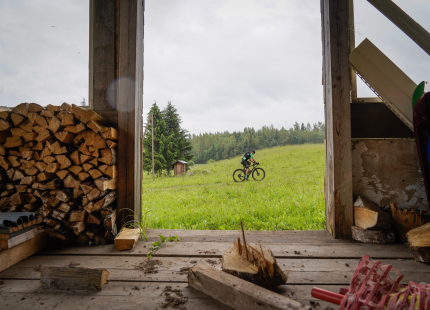 Vivus.lv MTB Maratons | Opekalns, 3.posms203