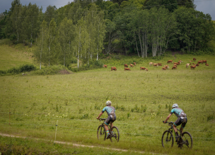 Vivus.lv MTB Maratons | Opekalns, 3.posms314