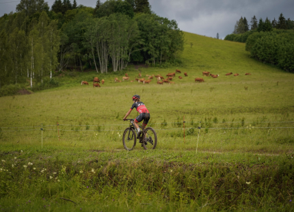 Vivus.lv MTB Maratons | Opekalns, 3.posms329