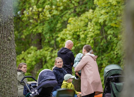 Vivus.lv MTB Maratons | Opekalns, 3.posms357