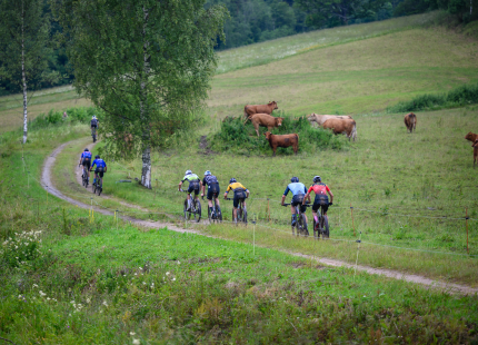 Vivus.lv MTB maratons | 3.posms, Opekalns196