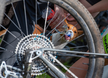 Vivus.lv MTB maratons | 4.posms Jaunpiebalga135
