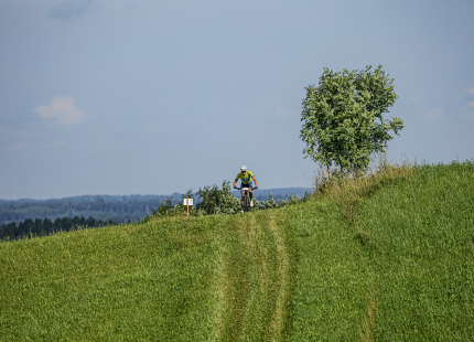 Vivus.lv MTB maratons | 4.posms Jaunpiebalga32
