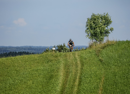Vivus.lv MTB maratons | 4.posms Jaunpiebalga35