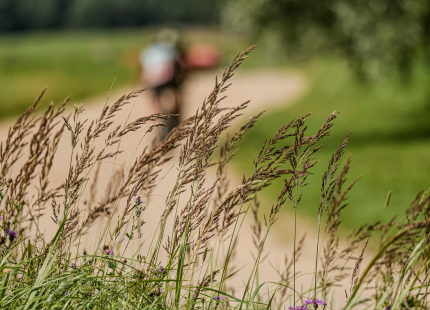 Vivus.lv MTB maratons | 4.posms Jaunpiebalga97