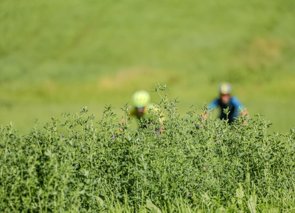 Vivus.lv MTB maratons | 4.posms Jaunpiebalga115