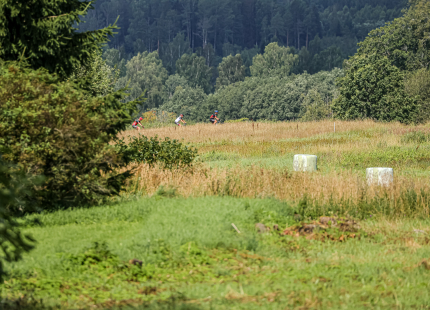 Vivus.lv MTB maratons | 4.posms Jaunpiebalga137