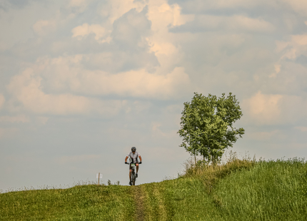 Vivus.lv MTB maratons | 4.posms Jaunpiebalga528