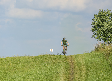 Vivus.lv MTB maratons | 4.posms Jaunpiebalga532