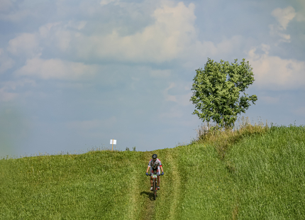 Vivus.lv MTB maratons | 4.posms Jaunpiebalga537