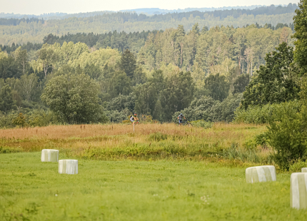 Vivus.lv MTB maratons | 4.posms Jaunpiebalga542