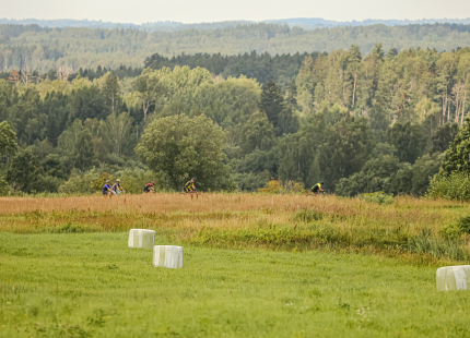 Vivus.lv MTB maratons | 4.posms Jaunpiebalga543