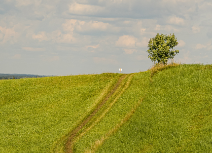 Vivus.lv MTB maratons | 4.posms Jaunpiebalga544