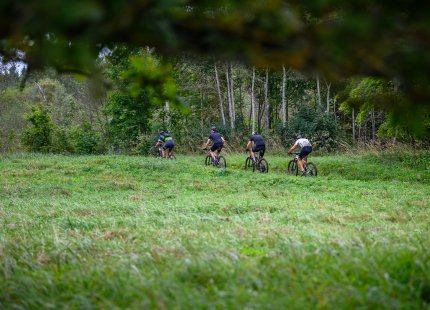 Vivus.lv MTB maratons 5.posms / Vastse Rossa266