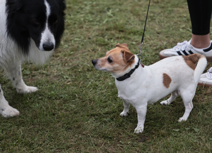 Vivus.lv MTB maratons Ape/Vastse Rossa571