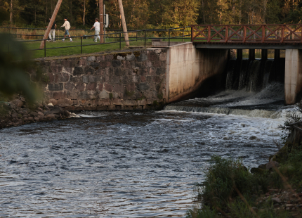 Vivus.lv MTB maratons Ape/Vastse Rossa683