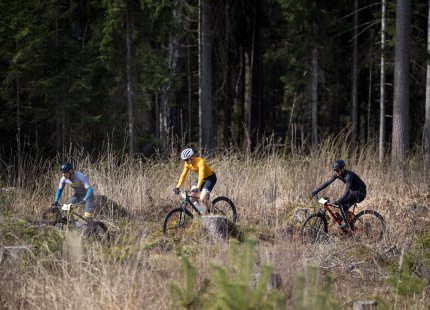 Vivus.lv MTB maratons 2026 | 1.posms, Ķegums223
