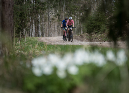 Vivus.lv MTB maratons 2026 | 1.posms, Ķegums422