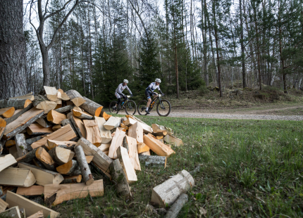 Vivus.lv MTB maratons 2026 | 1.posms, Ķegums427