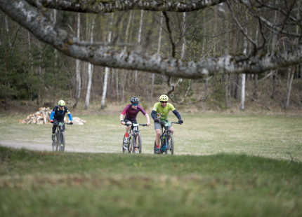 Vivus.lv MTB maratons 2026 | 1.posms, Ķegums616