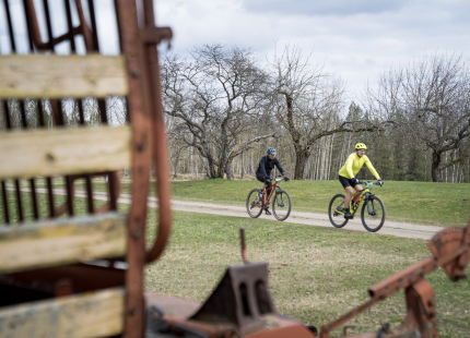 Vivus.lv MTB maratons 2026 | 1.posms, Ķegums626