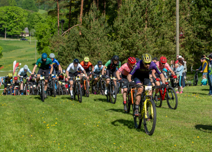 Vivus.lv MTB maratons 2026 | 2.posms, Talsi237