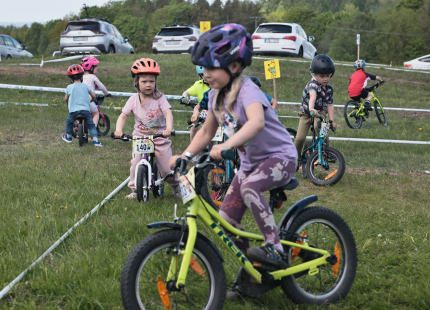 Vivus.lv MTB maratons | 2.posms, Talsi264